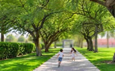 Park walkway with children playing under shady trees in Al Khor Family Park and zoo
